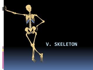 V. Skeleton