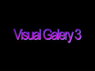 Visual Galery 3