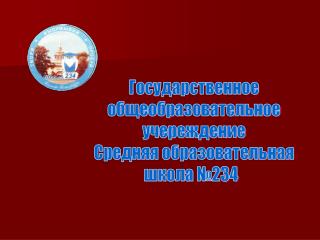 Государственное общеобразовательное учереждение Средняя образовательная школа №234