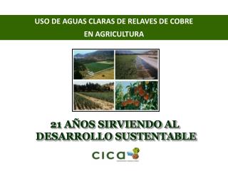 USO DE AGUAS CLARAS DE RELAVES DE COBRE EN AGRICULTURA