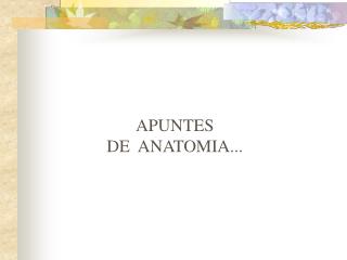 APUNTES DE  ANATOMIA...