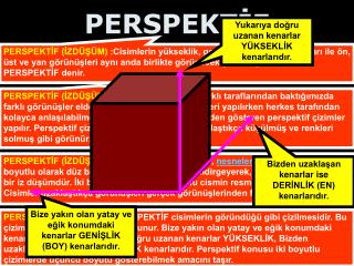 PERSPEKTİF