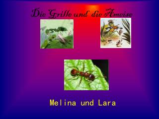 Die Grille und die Ameise