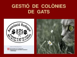 GESTIÓ DE COLÒNIES DE GATS