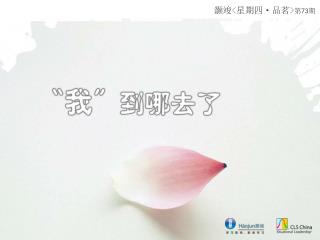 灏竣 &lt; 星期四 · 品茗 &gt; 第 73 期