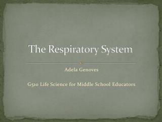 The Respiratory System