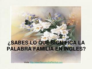 ¿SABES LO QUE SIGNIFICA LA PALABRA FAMILIA EN INGLES?