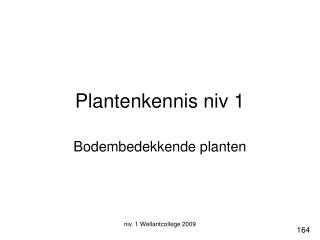 Plantenkennis niv 1