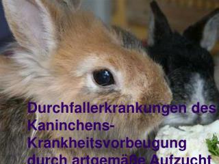 Durchfallerkrankungen des Kaninchens- Krankheitsvorbeugung durch artgemäße Aufzucht