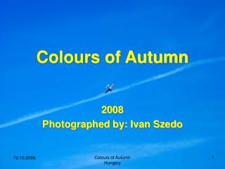Colours of Autumn