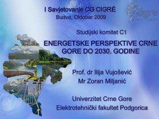 ENERGETSKE PERSPEKTIVE CRNE GORE DO 2030. GODINE