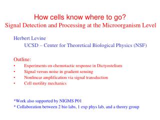 How cells know where to go? Signal Detection and Processing at the Microorganism Level
