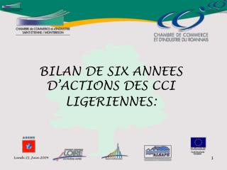 BILAN DE SIX ANNEES D’ACTIONS DES CCI LIGERIENNES: