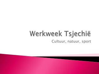 Werkweek Tsjechië