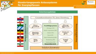 Standortangepasste Anbausysteme für Energiepflanzen