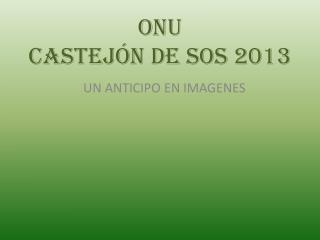 ONU CASTEJÓN DE SOS 2013