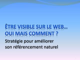 Être visible sur le Web… Oui mais comment ?