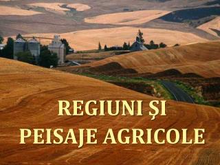 REGIUNI Ş I PEISAJE AGRICOLE