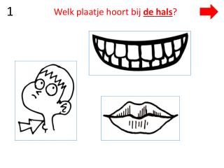 Welk plaatje hoort bij de hals ?