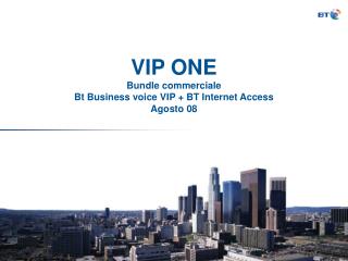 VIP ONE Bundle commerciale Bt Business voice VIP + BT Internet Access Agosto 08