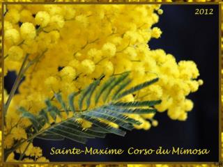 Corso Mimosa Ste Maxime 2012