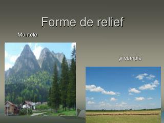 Forme de relief