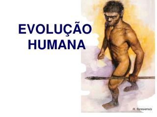 EVOLUÇÃO HUMANA