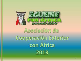 Asociación de Cooperación Exterior con África 2013