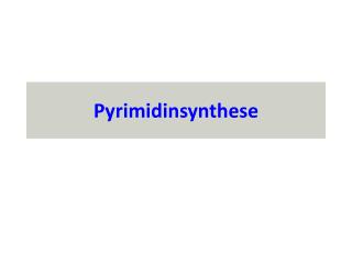 Pyrimidinsynthese