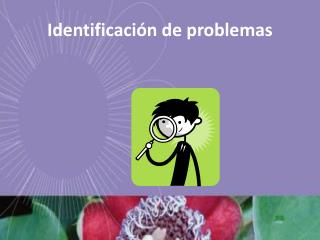 Identificación de problemas