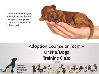 Adoption Counselor Team – Onsite/Dogs Training Class V5 120428a