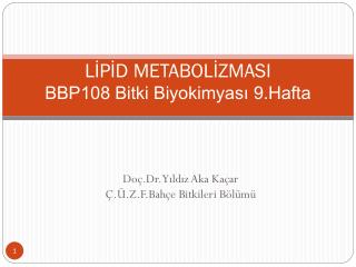 LİPİD METABOLİZMASI BBP108 Bitki Biyokimyası 9.Hafta