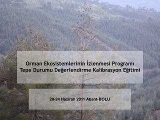 20-24 Haziran 2011 Abant-BOLU