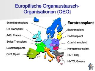 Europäische Organaustausch-Organisationen (OEO)