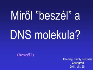 Miről  ” beszél ”  a  DNS molekula?