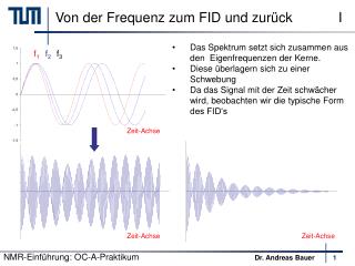 Von der Frequenz zum FID und zurück I