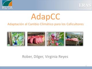 AdapCC Adaptación al Cambio Climático para los Caficultores