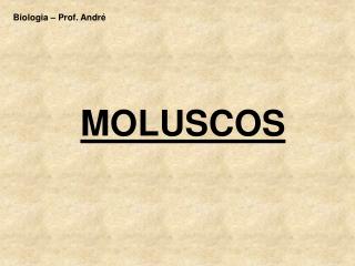 MOLUSCOS