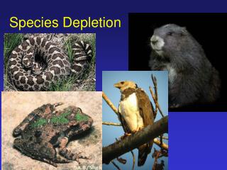 Species Depletion