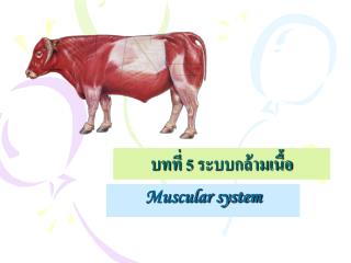 บทที่ 5 ระบบกล้ามเนื้อ