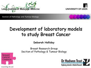 Development of laboratory models to study Breast Cancer