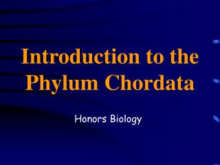 Introduction to the Phylum Chordata