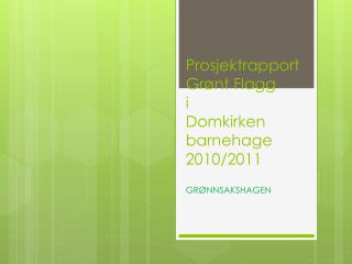 Prosjektrapport Grønt Flagg i Domkirken barnehage 2010/2011