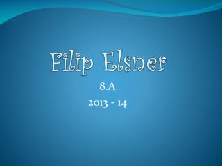 Filip Elsner