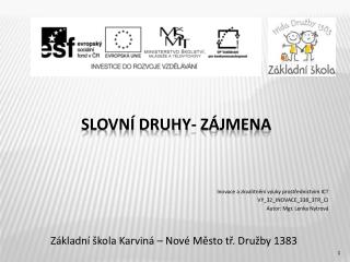 Slovní druhy- zájmena