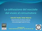 La coltivazione del nocciolo dal vivaio al consumatore