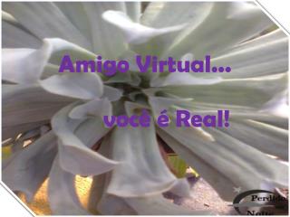 Amigo Virtual...