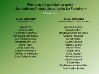 Année 2012-2013 Assisté par Messieurs Ousseini et Sumka Adehossi Audrey Bamazi Esther