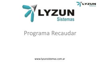 lyzunsistemas.ar