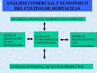 ANÁLISIS COMERCIAL Y ECONÓMICO DEL CULTIVO DE HORTALIZAS